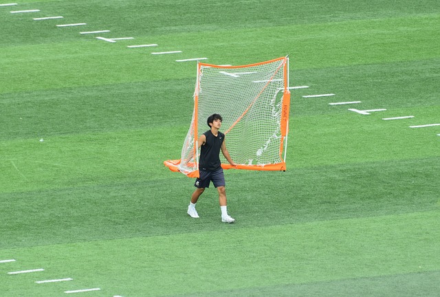 霍维奇的