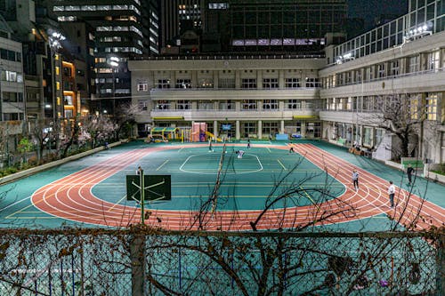 领跑首节得分！雷迪克：这是东契奇的策略，喜欢他这样打